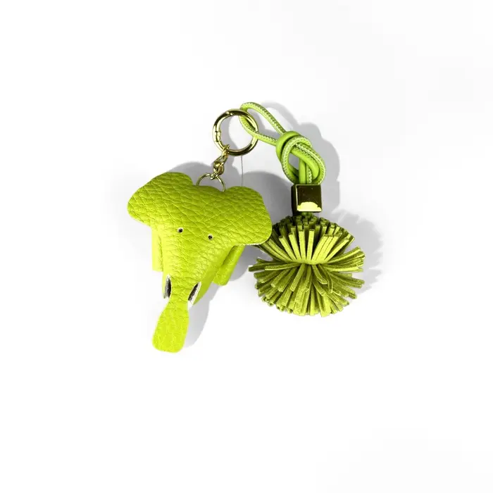 Ensemble Pochette Tournesol et Porte-clés en Cuir PU Vert Pomme - Porte-monnaie Fonctionnel, Étui po