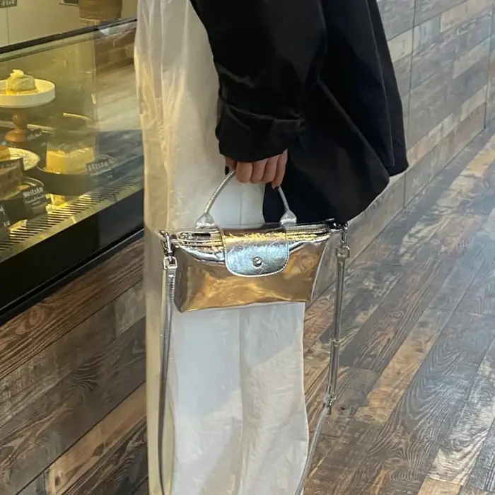 Mini sac à bandoulière Hobo été nouveaux sacs à main pour femmes 2025 concepteur de luxe argent
