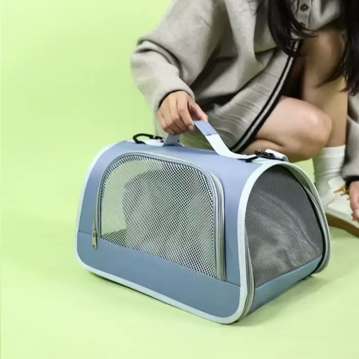 Sac à main Portable pour sortie d'animaux de compagnie