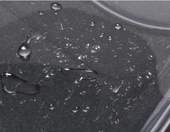 Petit sac à cosmétiques Transparent pour femmes