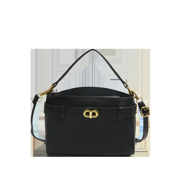 Sac à main exquis pour femme, nouvelle collection printemps 2026, sac à bandoulière haut de gamme, é
