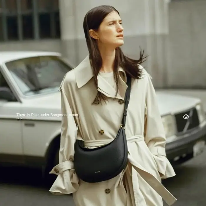 Sac à main Songmont, couleur unie, rétro, élégant à la française, style quotidien, style de trajet q