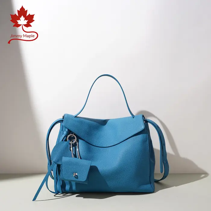 Sac fourre-tout haut de gamme 2026 bleu beige pour femme avec porte-monnaie
