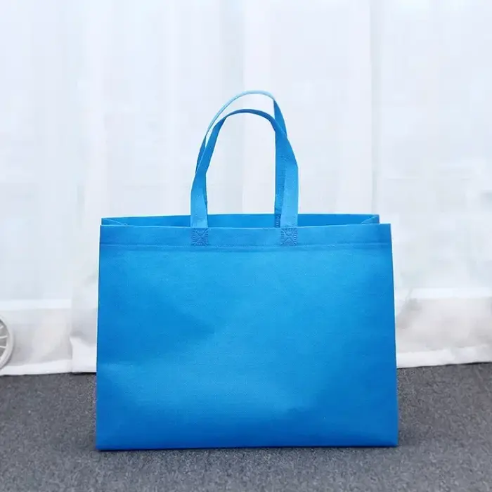 Sac de courses pliable pour femmes