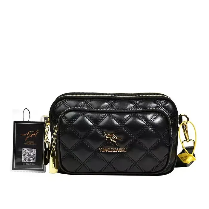 2024 Petit Lingge Sac pour femme Nouvelle tendance Ins Petit sac à bandoulière de style parfumé Nich