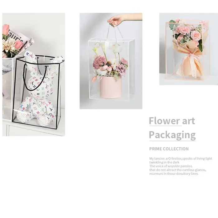Sac fourre-tout transparent pour femme