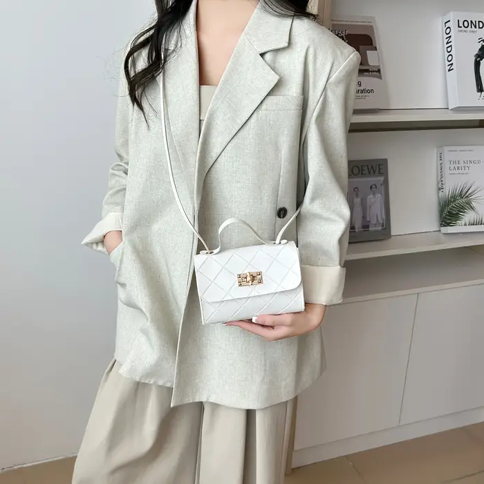 2025 petit sac de messager pour les femmes tendance Lingge broderie caméra femme sac à bandoulière mode chaîne dames