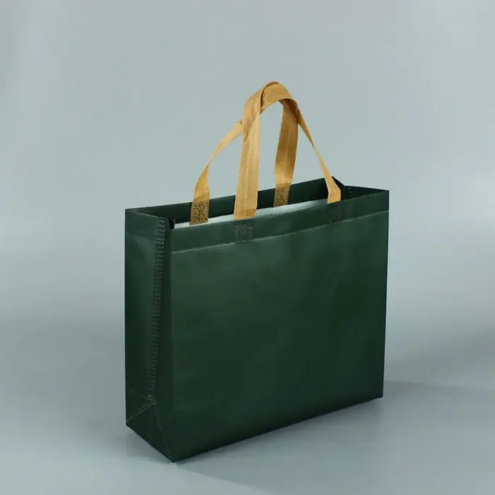 Sac d'épicerie écologique Durable vert bleu résistant à l'eau