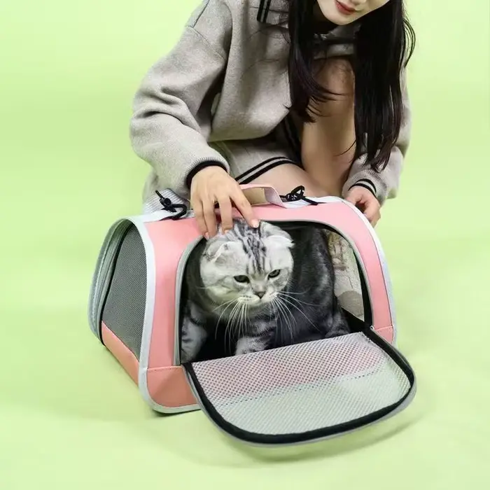 Sac à main Portable pour sortie d'animaux de compagnie