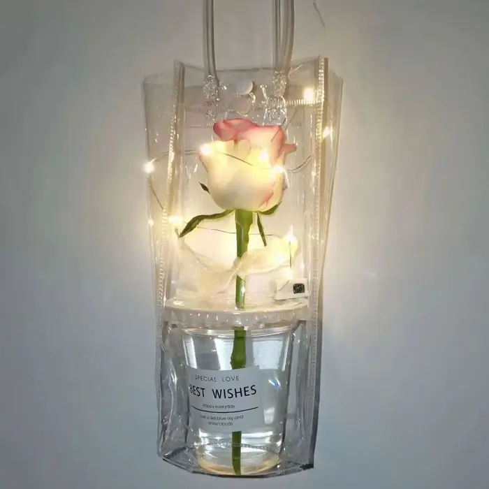 Sac à main en plastique PVC transparent de grande capacité