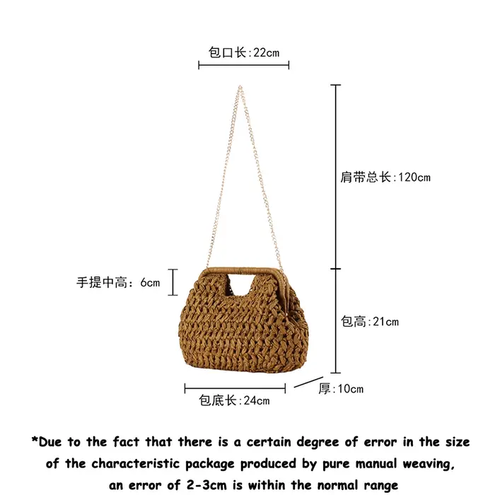 Sac à main élégant pour femme en chaîne