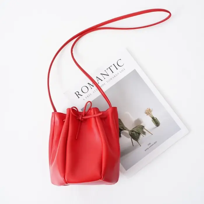 Sac seau à cordon en peau de mouton 2025 nouveau design de niche de printemps sac à bandoulière en cuir véritable mini