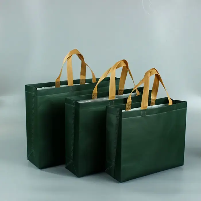 Sac d'épicerie écologique Durable vert bleu résistant à l'eau