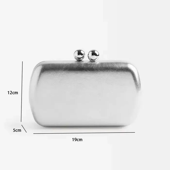 Pochette argentée pour femmes