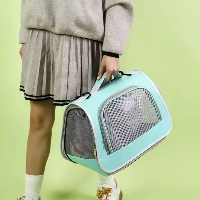 Sac à main Portable pour sortie d'animaux de compagnie