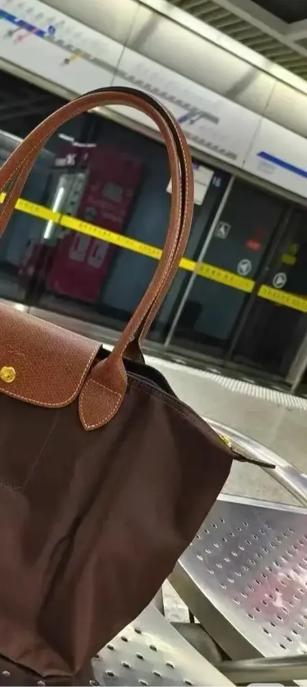 Sac Hobo Y2K Tendance 2026 – Nouveau Sac à Main Femme Grande Capacité Pliable Classique en Nylon Éco