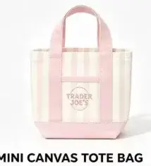 Mini sac fourre-tout Trader Joe's en toile, édition été, rose, bleu, vert menthe pastel, rose, bleu