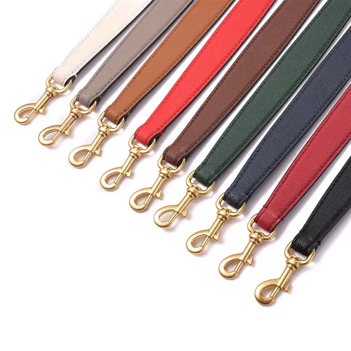 Accessoires de ceinture de sac pour sac COACH Tabby Dionysus
